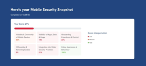 Mobile Security Snapshot2