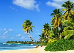 Creating a Custom Telephony and CRM Experience to Handle Surging Travel Demand